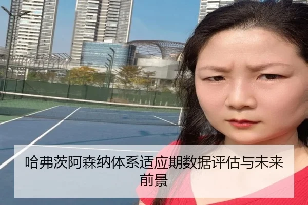 哈弗茨阿森纳体系适应期数据评估与未来前景