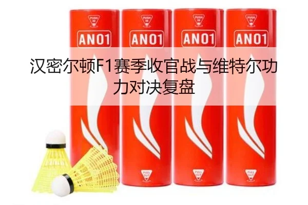 汉密尔顿F1赛季收官战与维特尔功力对决复盘